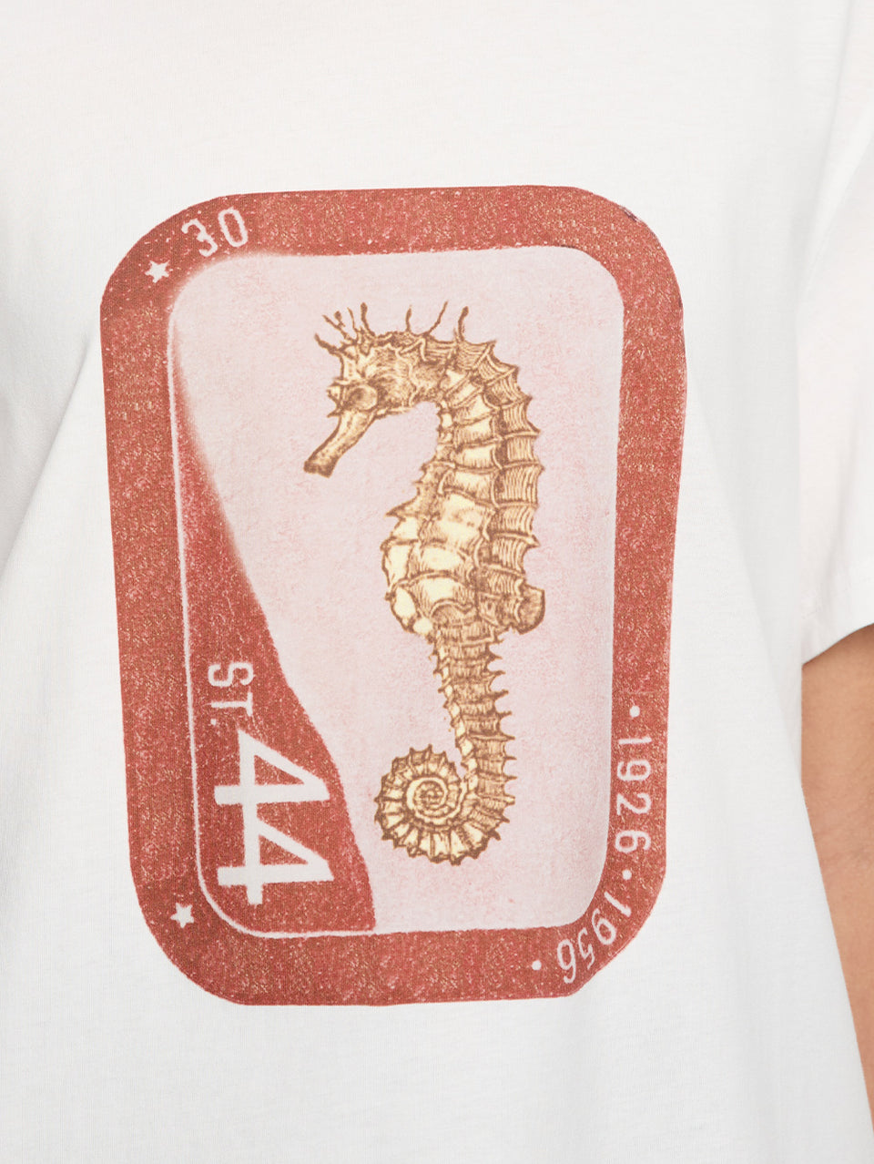 E31SHE-SHELDON-SHELDON-TEE-04