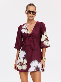 Brodie Tie Front Mini Dress