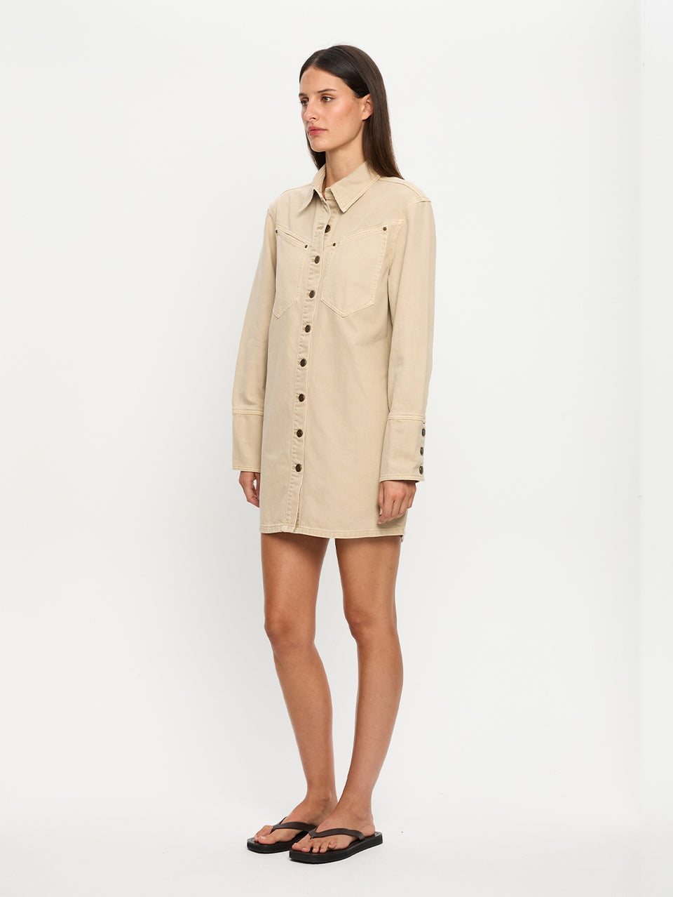 Carla Denim Mini Dress