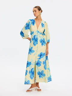 Sophie Maxi Dress